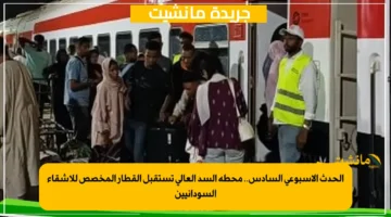 الحدث الأسبوعي السادس.. محطة السد العالي تستقبل القطار المخصص للأشقاء السودانيين 1